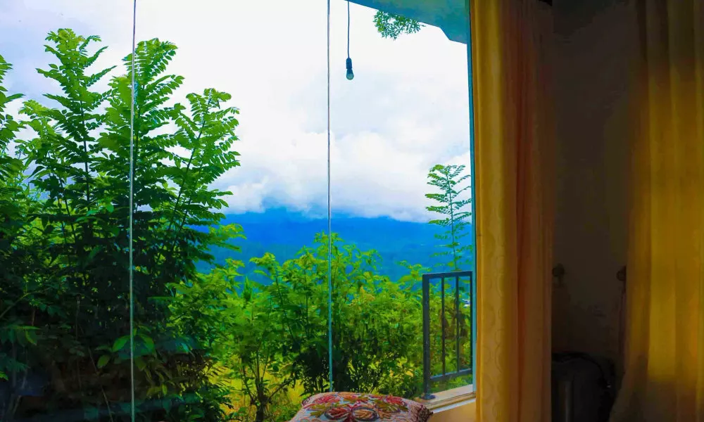 Esspeedy Hill Forest Cottages and Yoga center, фото 3