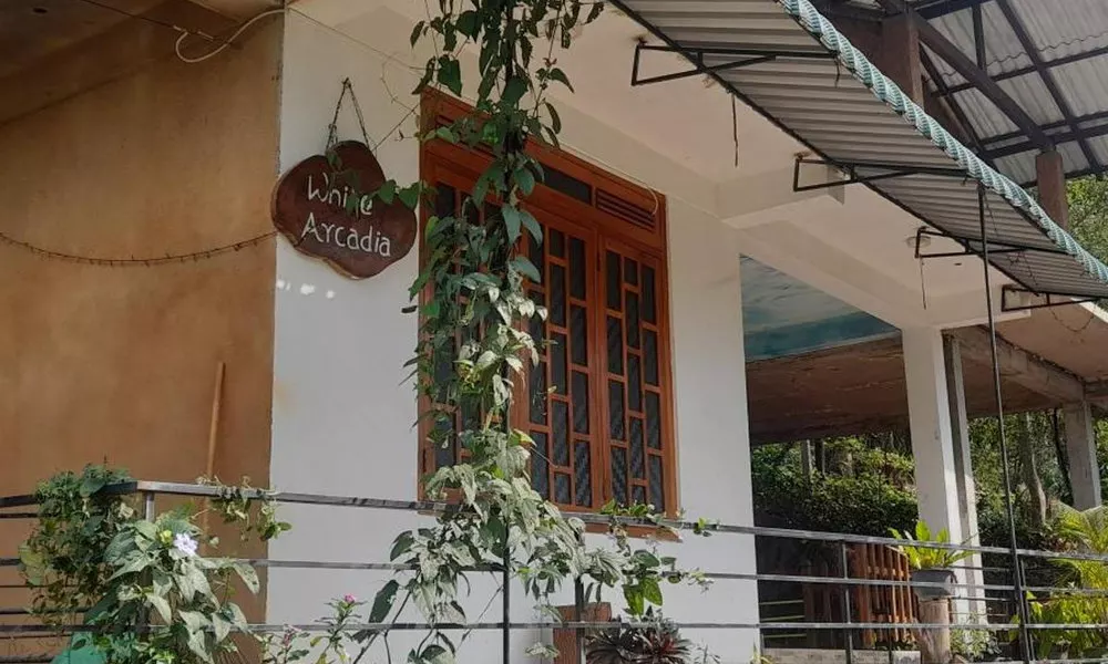 White Arcadia Guest House