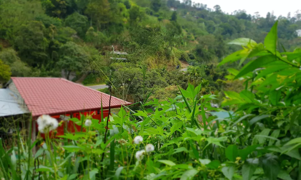 Ella River House, фото 4
