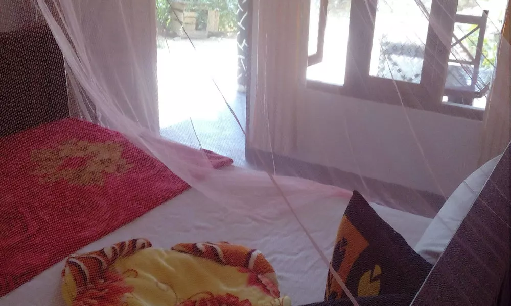 Hiddenhill home stay, фото 2