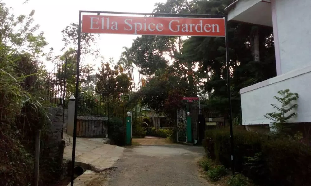 Lizzie Villa Guest House, фото 5