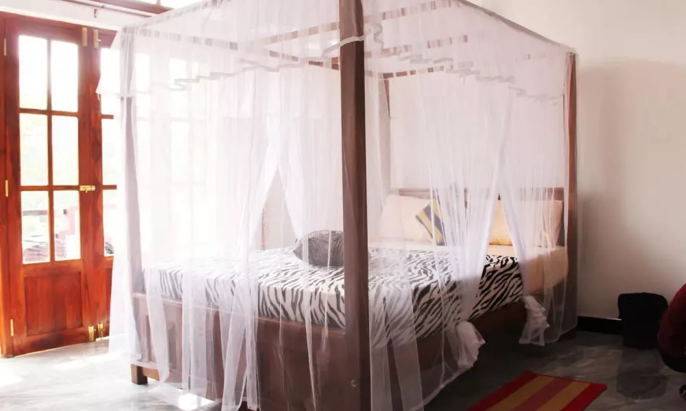 Lizzie Villa Guest House, фото 3