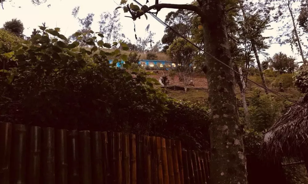 Tea Cabins, фото 4