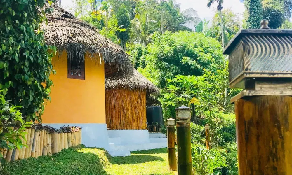 Tea Cabins