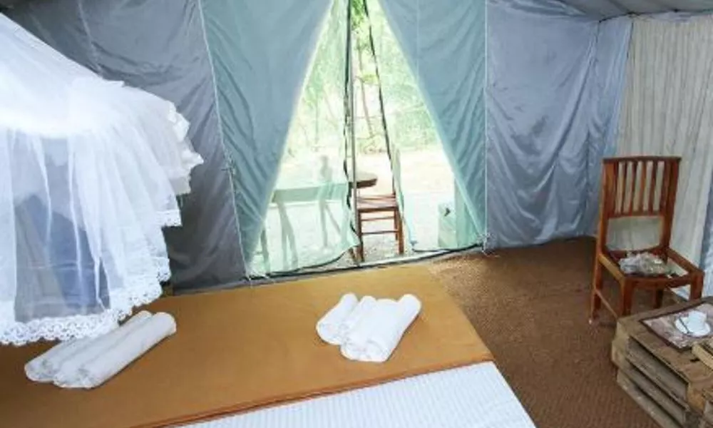 Ella Glamping, фото 5