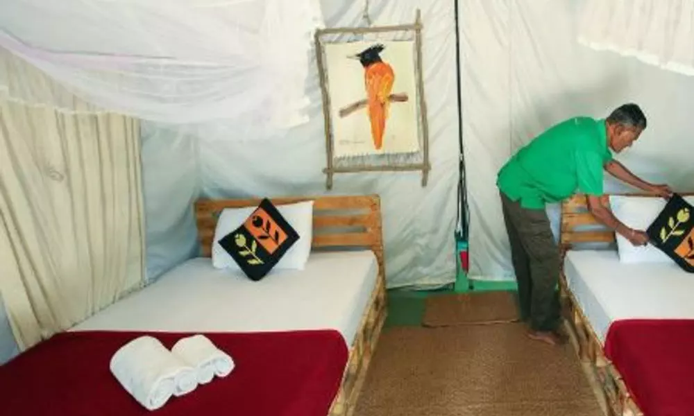 Ella Glamping, фото 2