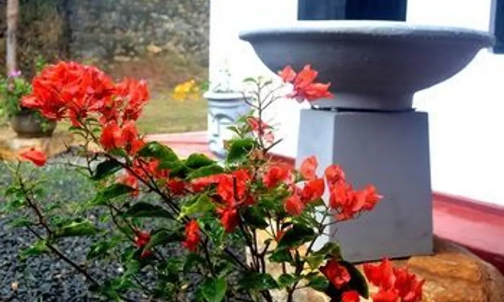 Muthu Villa, фото 2