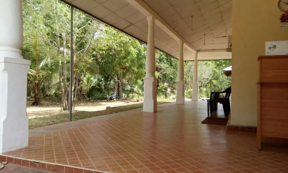 Nelum Villa, фото 4