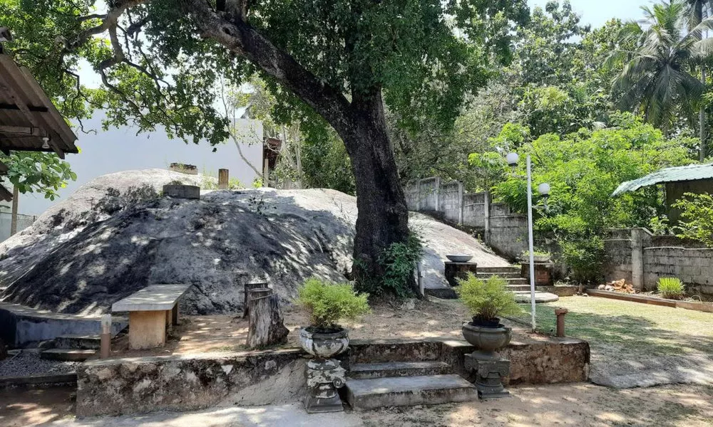 Selagala Resort, фото 2