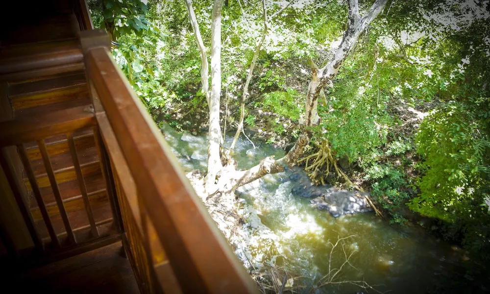 Silver Crown Nature Resort, фото 2
