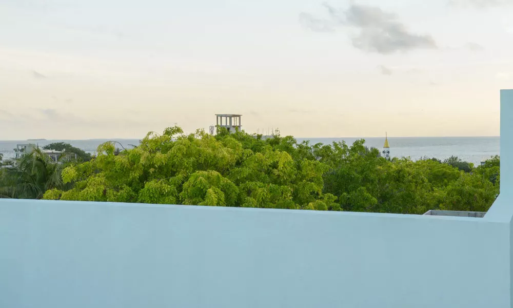 Green Flora, фото 2