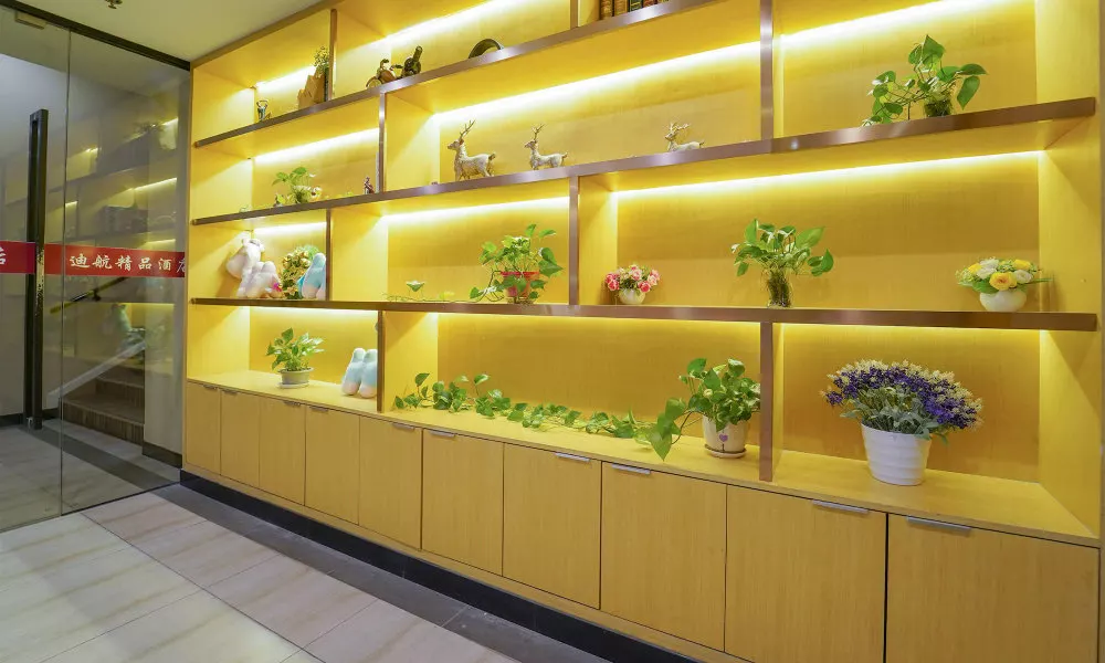 Shanghai Dihang Business Travel Hotel - Shanghai Pudong International Airport, фото 4