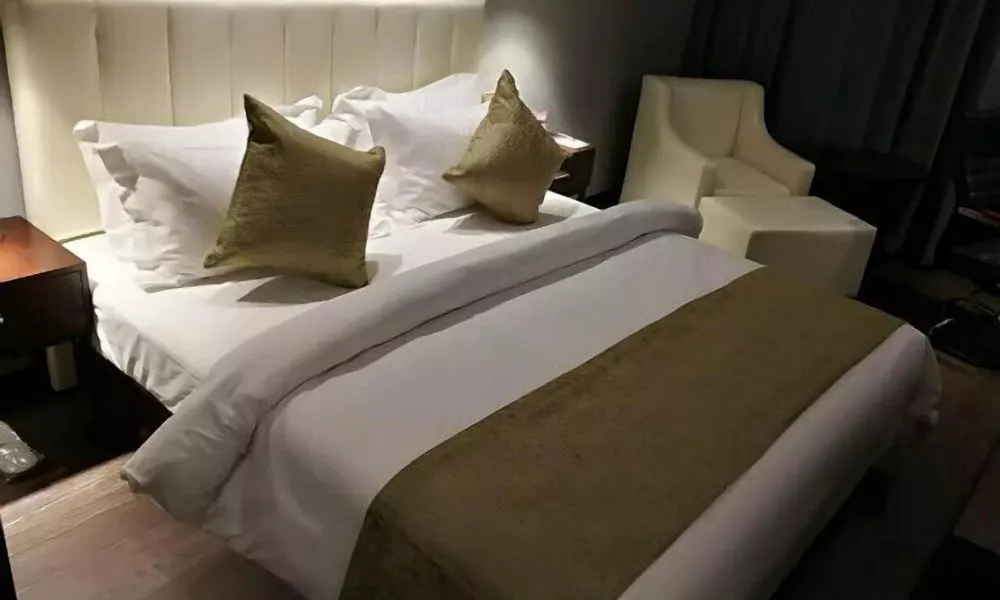 Metropolo Shanghai Hongqiao Airpart Wuzhong Road Hotel, фото 3