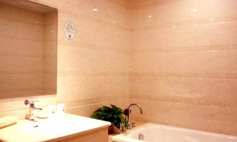 GreenTree Inn Beijing Nansihuan Xinfadi Business Hotel, фото 5