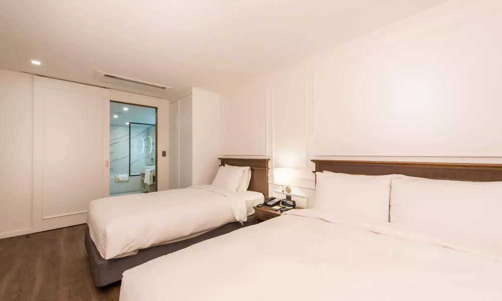 ENA Suite Hotel Namdaemun, фото 4