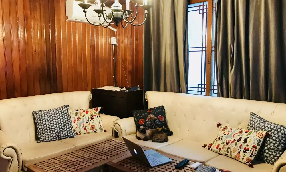 Avocado Guesthouse - Hostel, фото 4