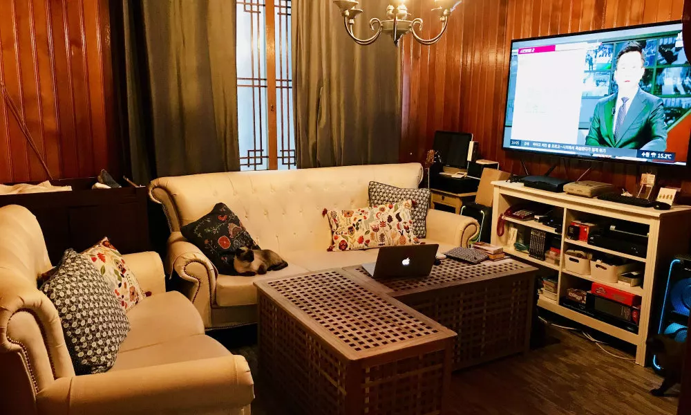 Avocado Guesthouse - Hostel, фото 2