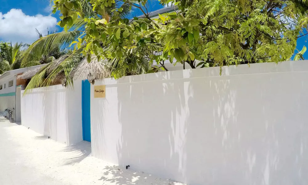 Palm Lodge, фото 4