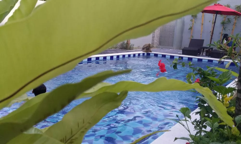 Palm Bamboo Hotel