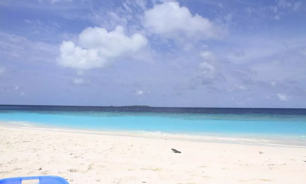 Velana Beach Hotel Maldives, фото 5