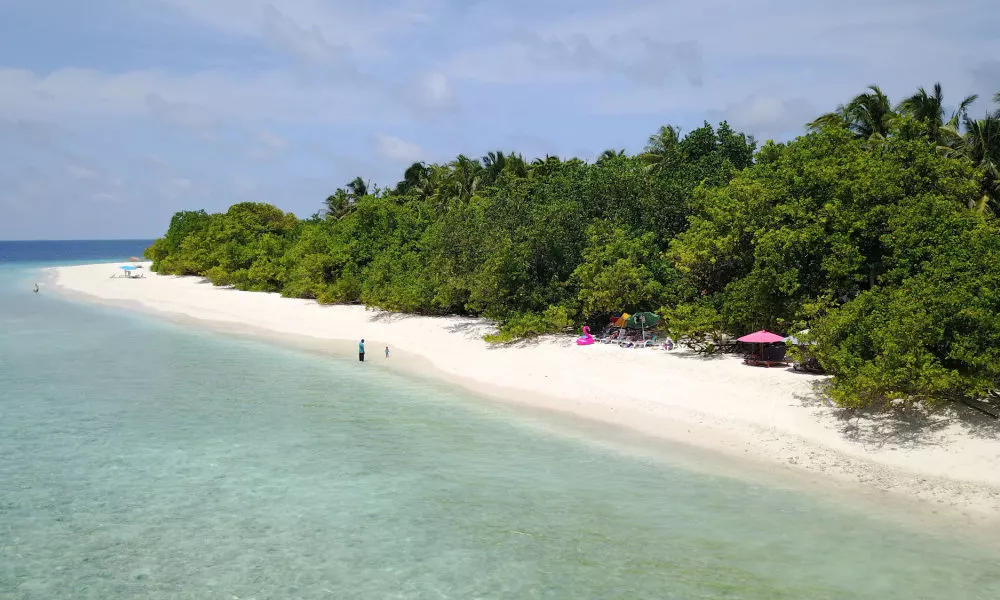 Beach Veli