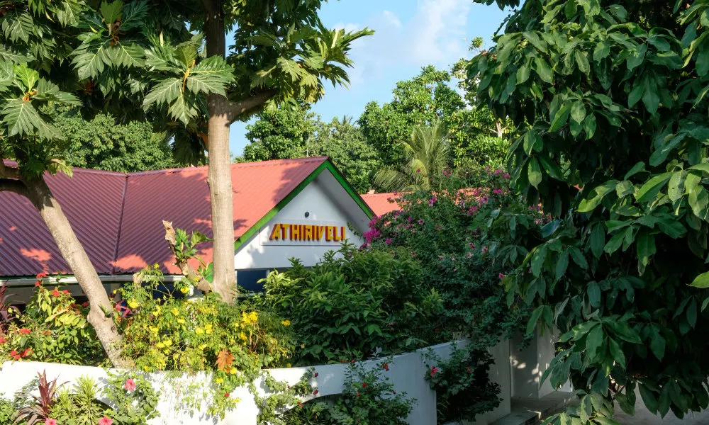 Athiriveli, фото 3