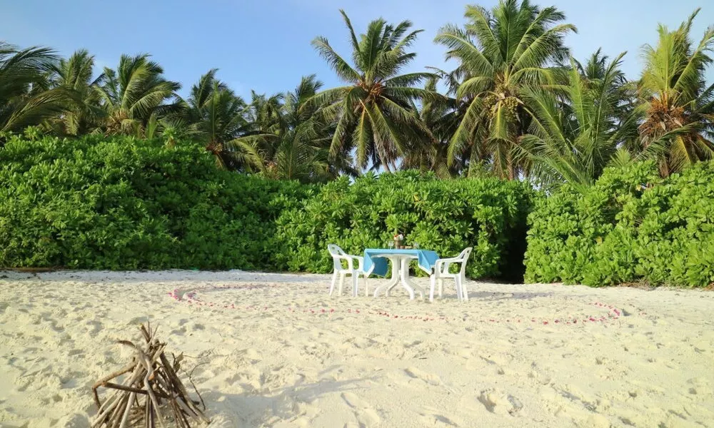 Quorizon sandy feet, фото 4