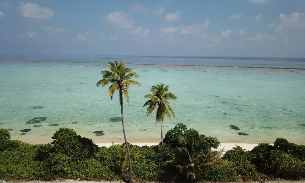 Thoddoo Beach Holiday Inn, фото 5