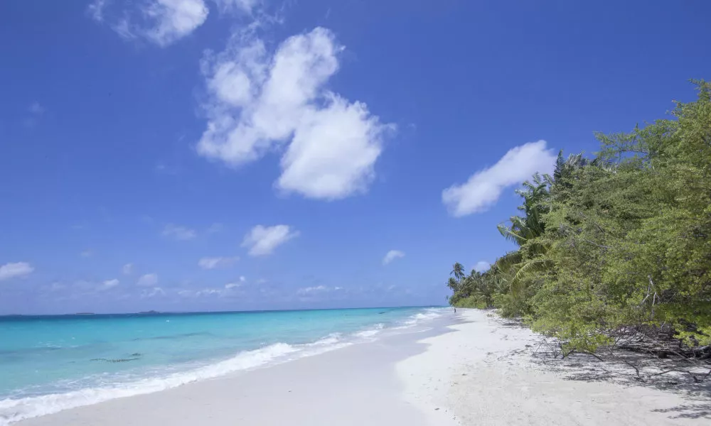 Dhigurah Retreat Beach, фото 5