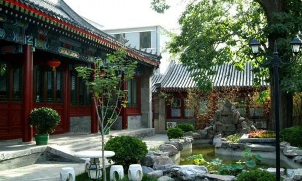 Soluxe Courtyard, фото 3