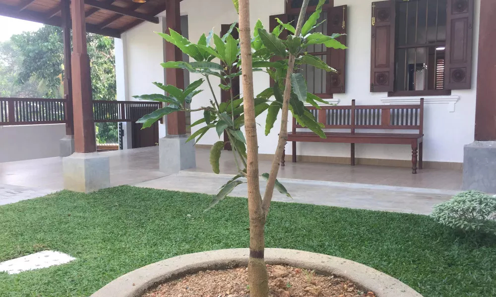 Natures Lodge-Galle