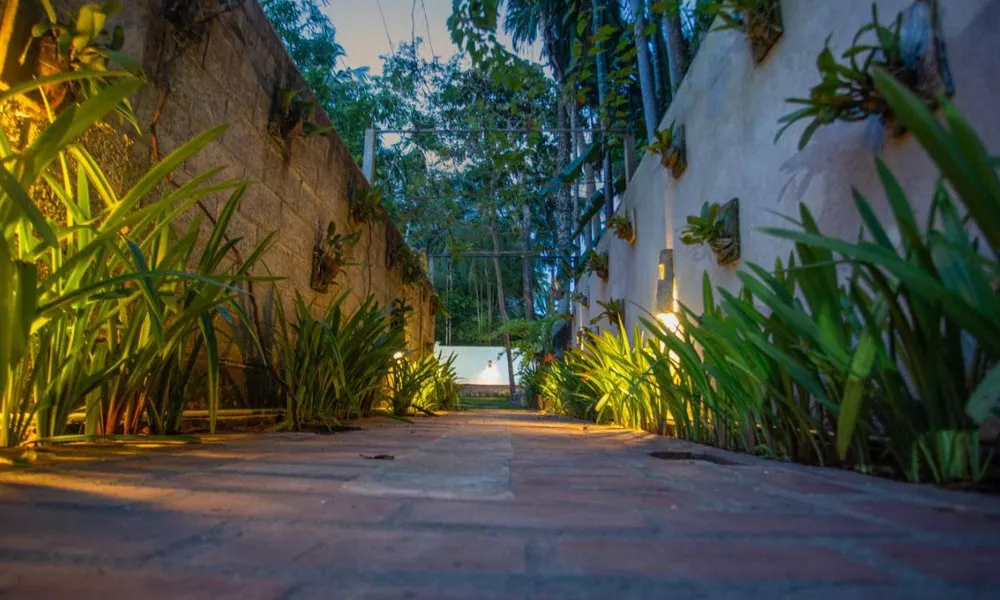 Percy Residence, фото 5