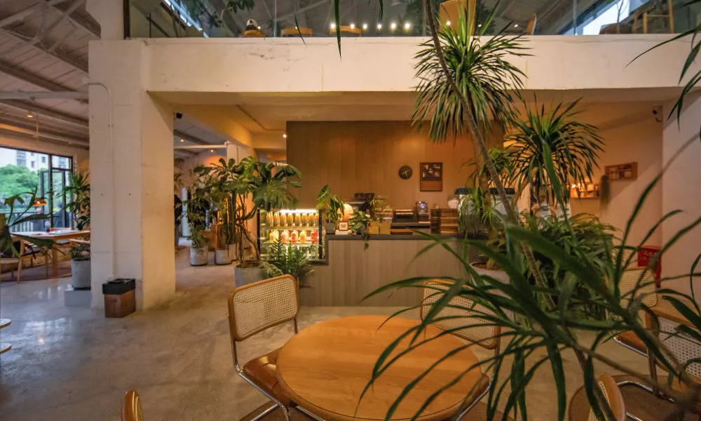 Lintin Holiday Hotel, фото 4