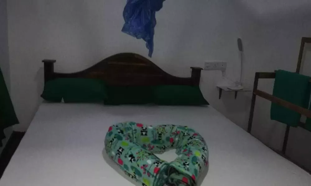 Mid Climes Guest Inn, фото 2