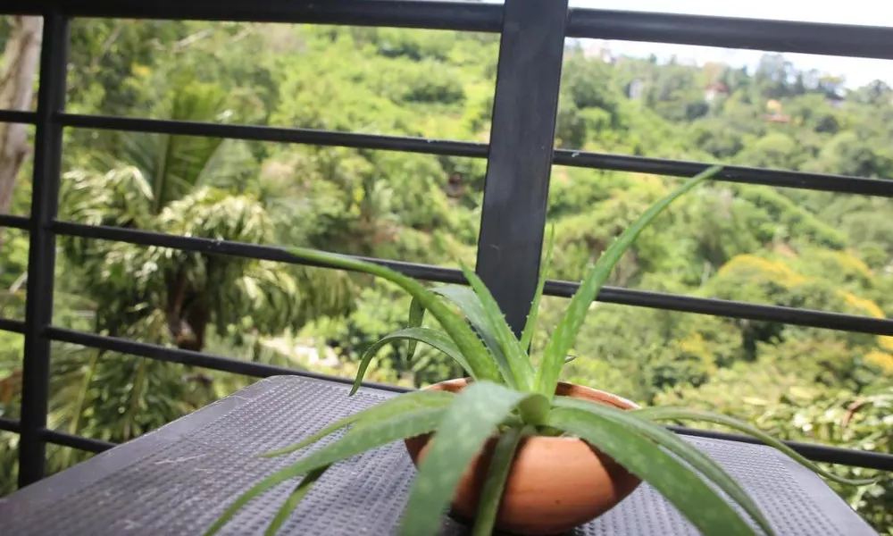 Rawana Mountain View Homestay, фото 2