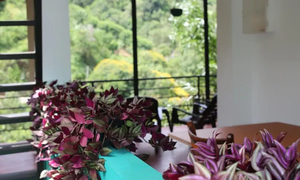 Rawana Mountain View Homestay, фото 4