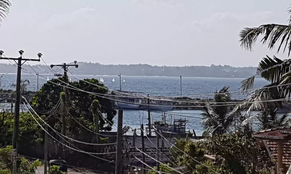 My Whales Guest House, фото 4