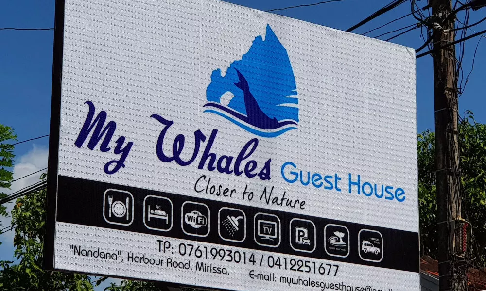 My Whales Guest House, фото 5