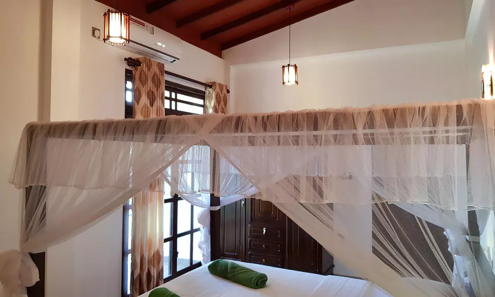 My Whales Guest House, фото 2