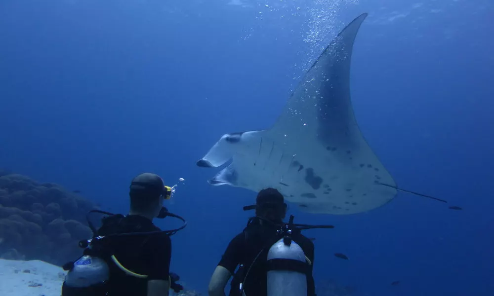 South Ari Dive Center, фото 5