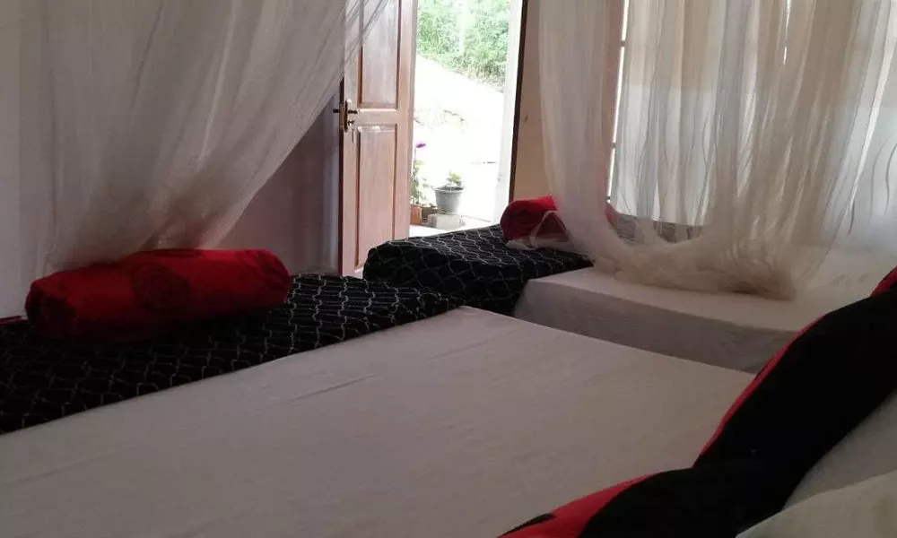 Ella Forest Eco View, фото 2