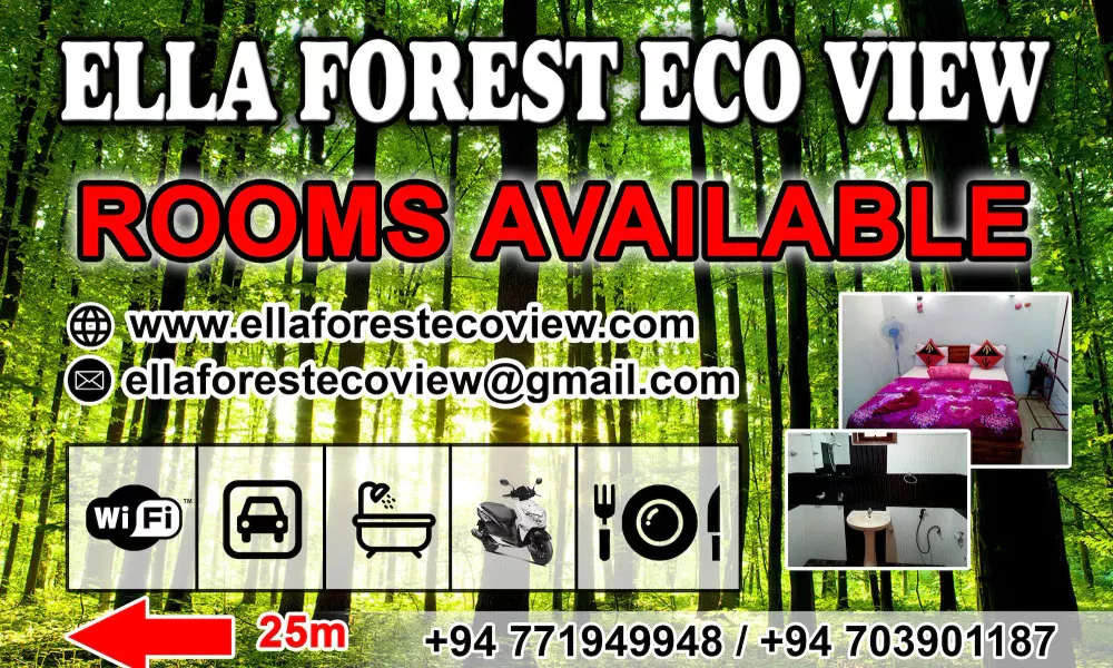 Ella Forest Eco View