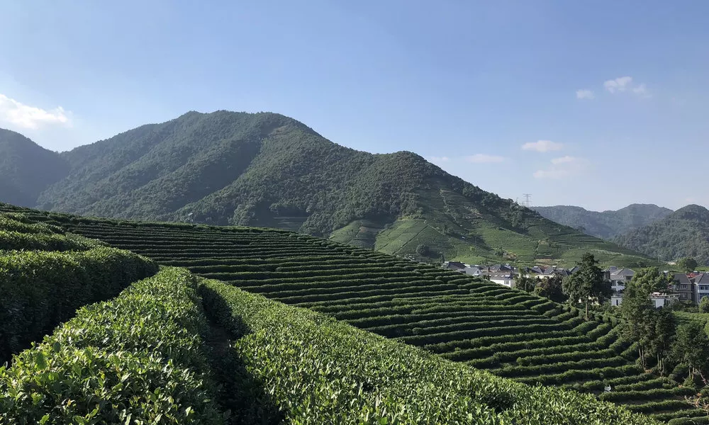 Le Méridien Hangzhou, Binjiang, фото 5