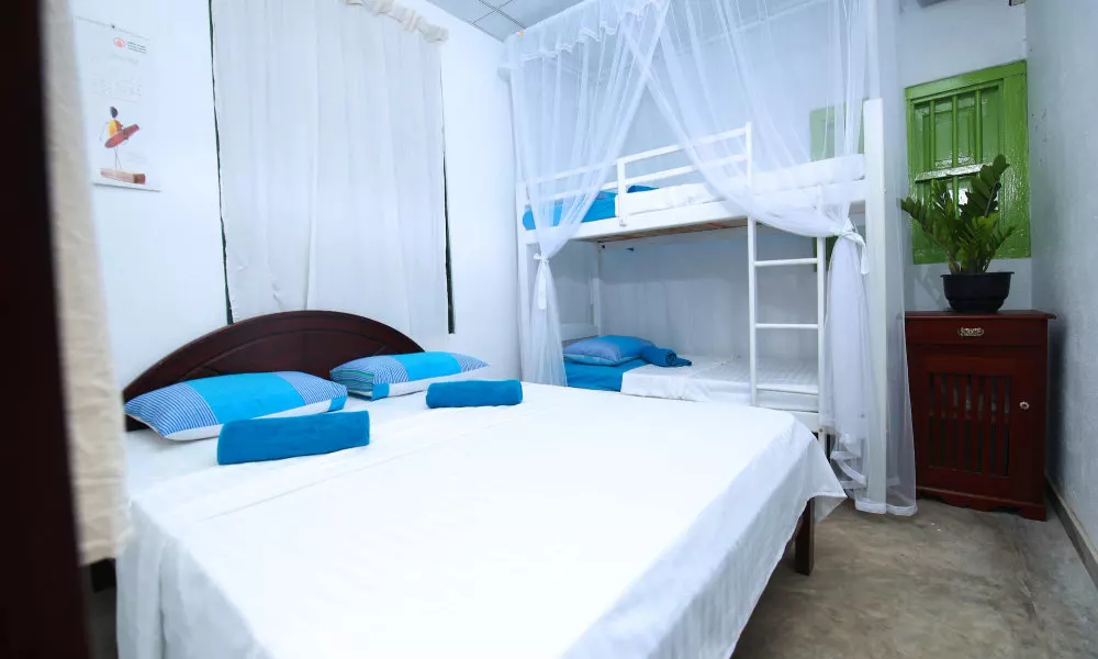 Bluefin Adventure - Hostel