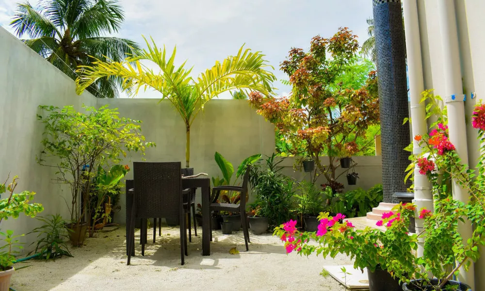 Calyx Grand Fuvahmulah, фото 4