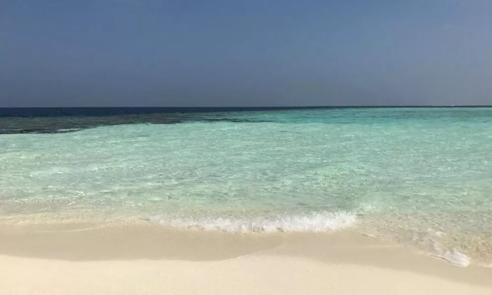 String Wave Maldives, фото 4