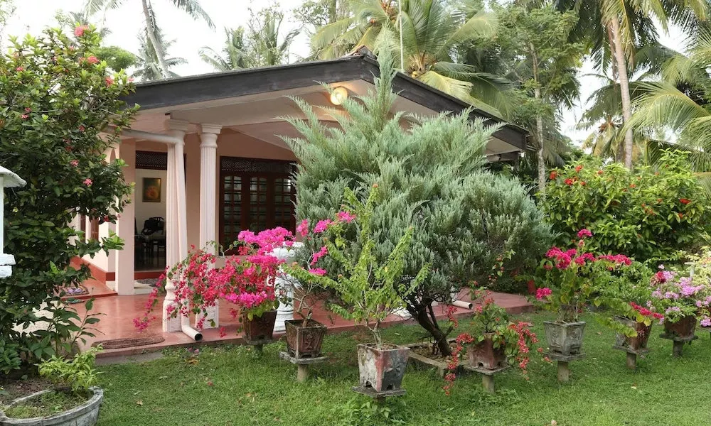 Sydney Homestay, фото 5