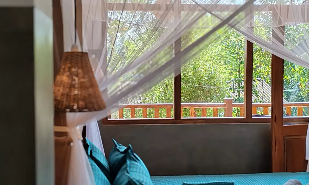 The jungle view, фото 5