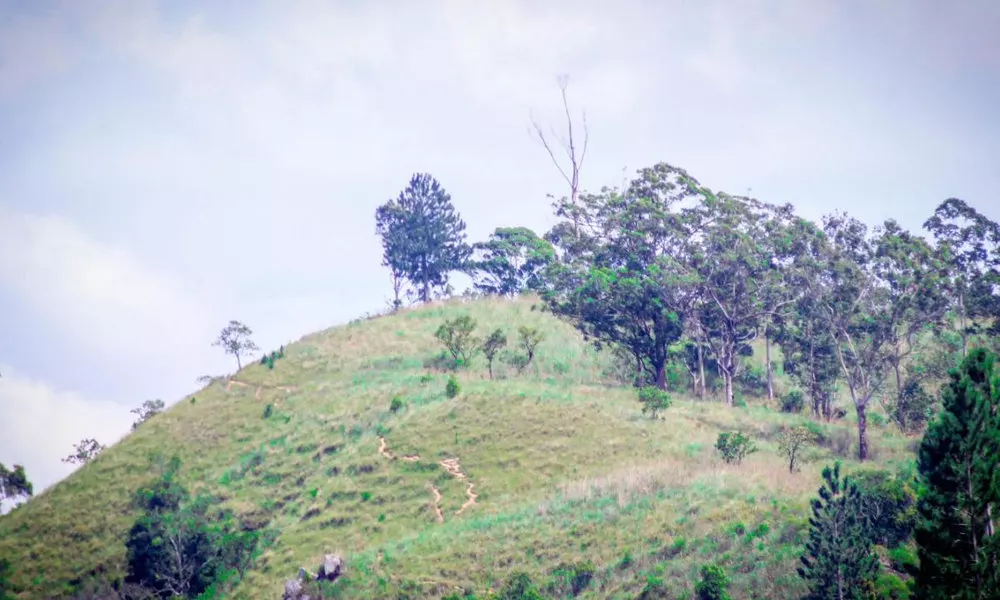 Rockvilla, Ella, фото 5