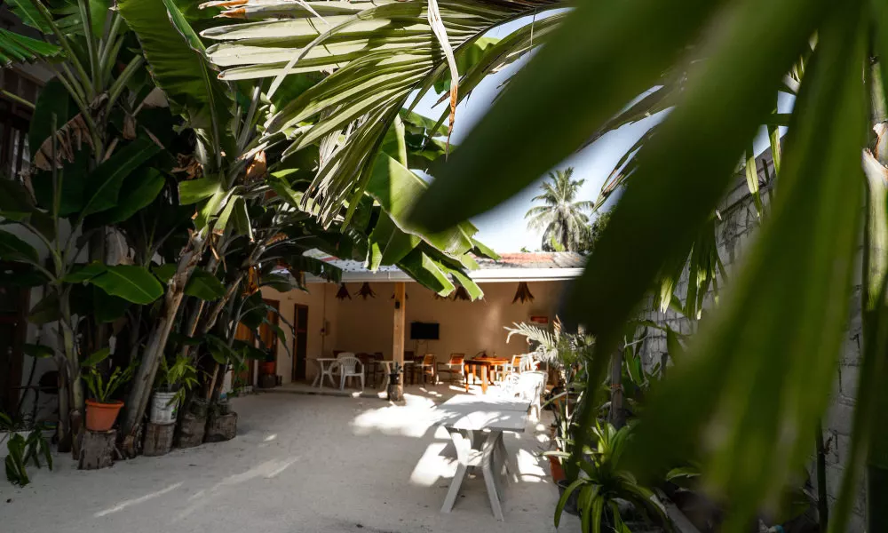 Rasdhoo Stay, фото 4